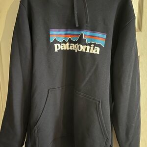 Patagonia Black Hoodie for Men